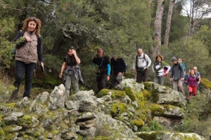 Çörlen Asarı Bağarcık