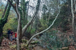 Yusufça Beypınarı