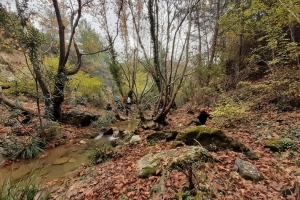 Yusufça Beypınarı