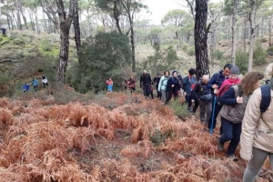 Çörlen Asarı Bağarcık