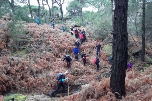 Çörlen Asarı Bağarcık