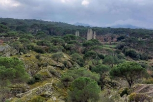 Çörlen Asarı Bağarcık