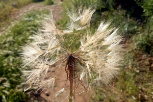 Kovada Gölü, Yazılı Kanyon, Melikler Yaylası Kampı