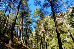 Kovada Gölü, Yazılı Kanyon, Melikler Yaylası Kampı