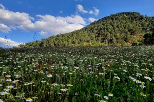 Kovada Gölü, Yazılı Kanyon, Melikler Yaylası Kampı