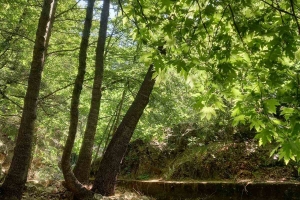 Kovada Gölü, Yazılı Kanyon, Melikler Yaylası Kampı